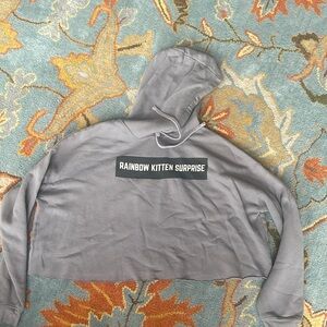 Rainbow Kitten Surprise Hoodie 2XL